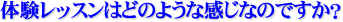 体験レッスンはどのような感じなのですか?