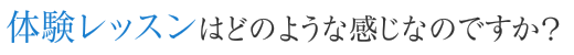 体験レッスンはどのような感じなのですか？