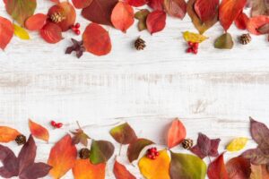 秋の紅葉する葉っぱと楽譜の画像