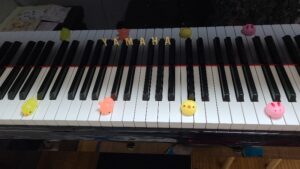ピアノの鍵盤の画像